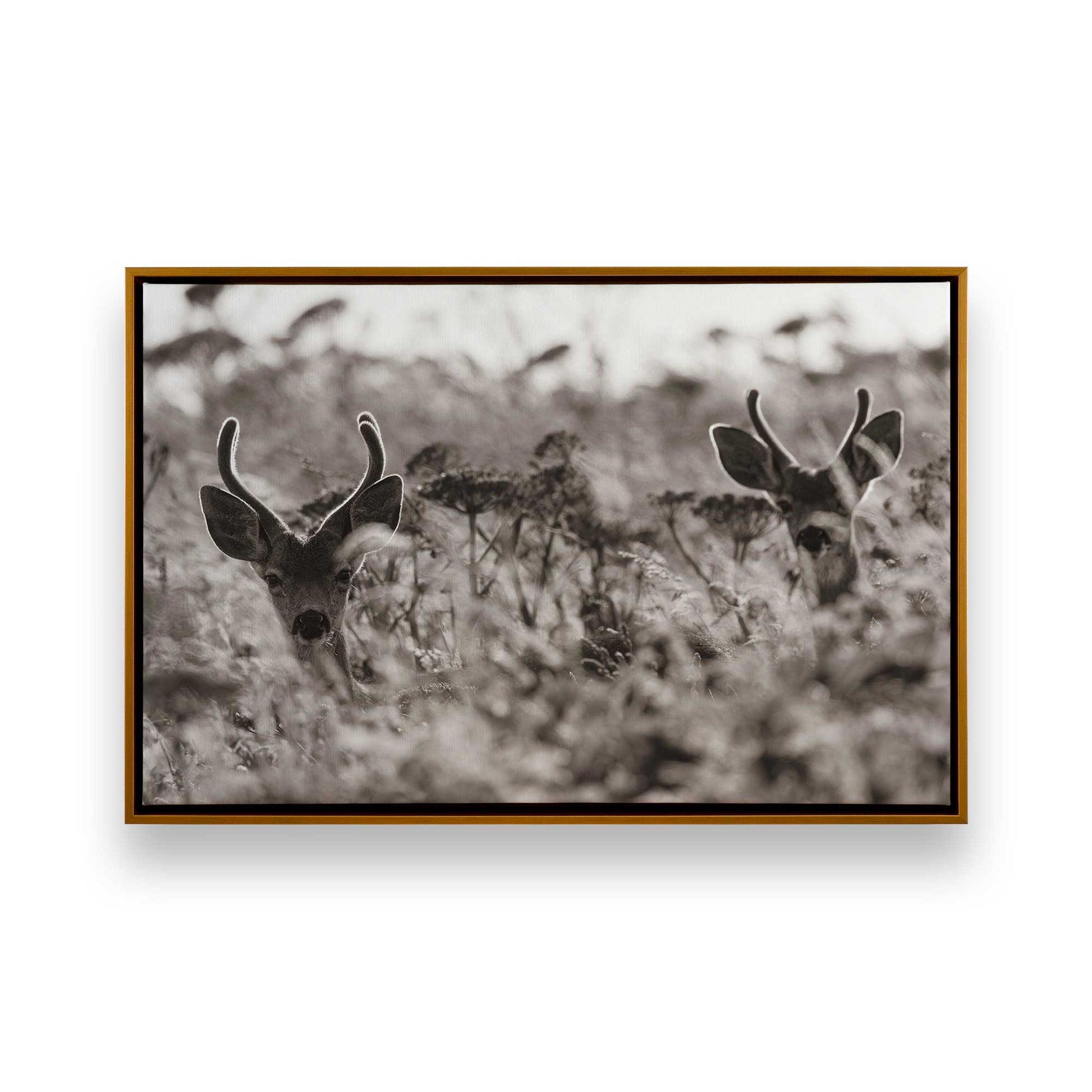[Color:Polished Gold], Picture of art in a Polished Gold frame