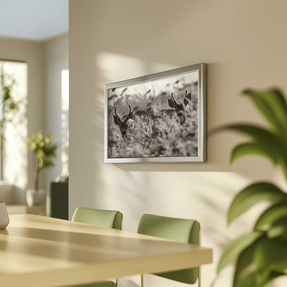 Picture of art in a room
