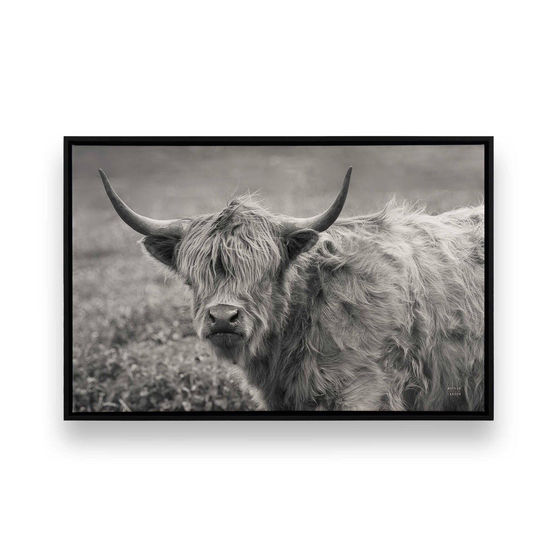 [Color:Satin Black], Picture of art in a Satin Black frame