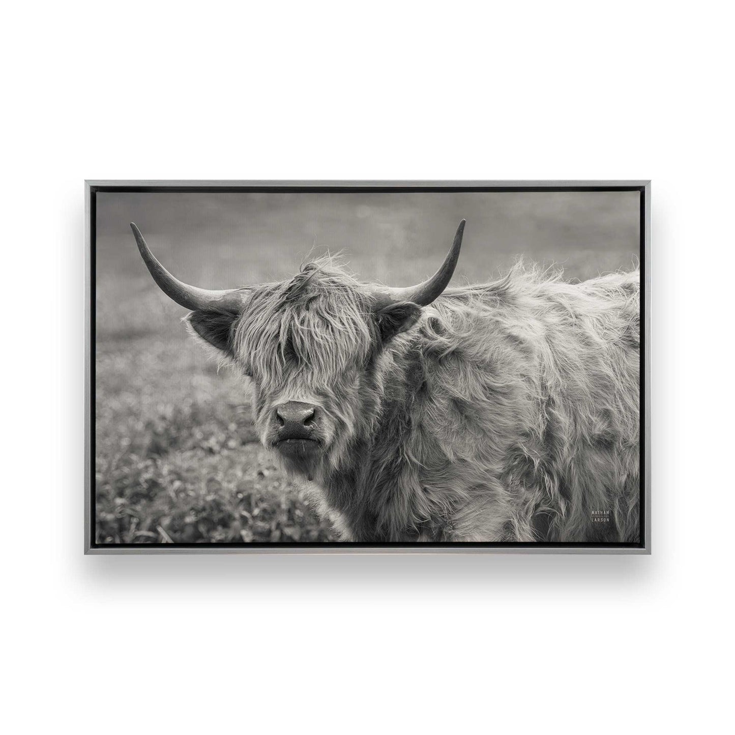 [Color:Polished Chrome], Picture of art in a Polished Chrome frame