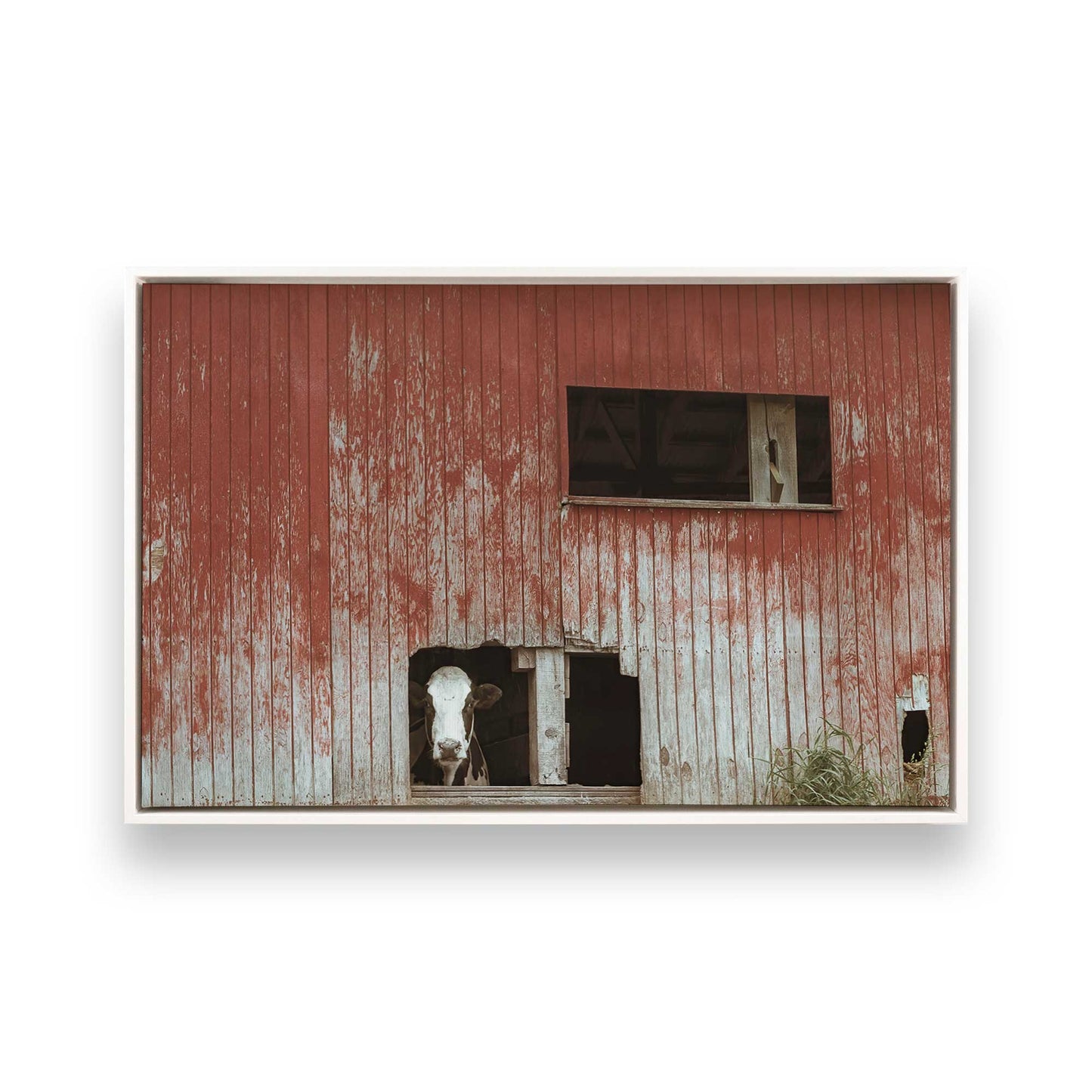 [Color:Opaque White], Picture of art in a White frame