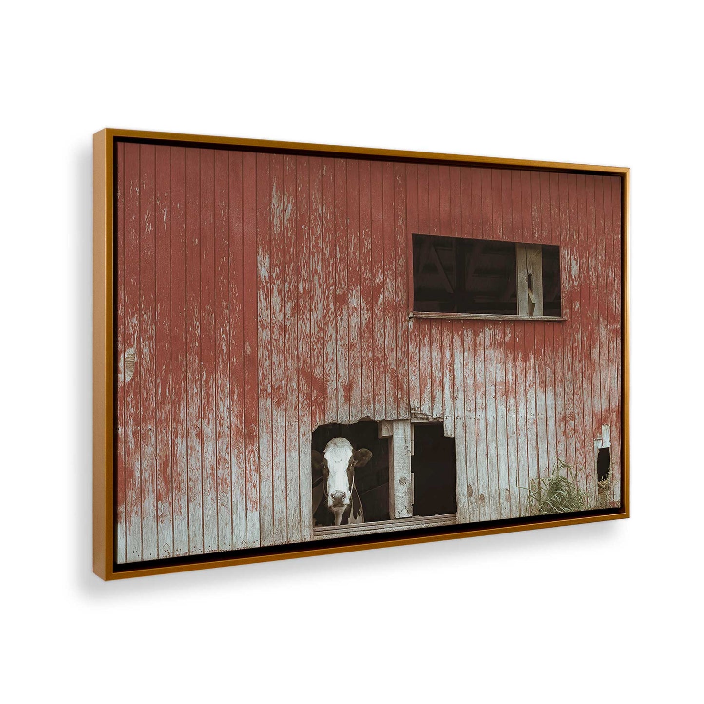 [Color:Polished Gold], Picture of the corner of the art