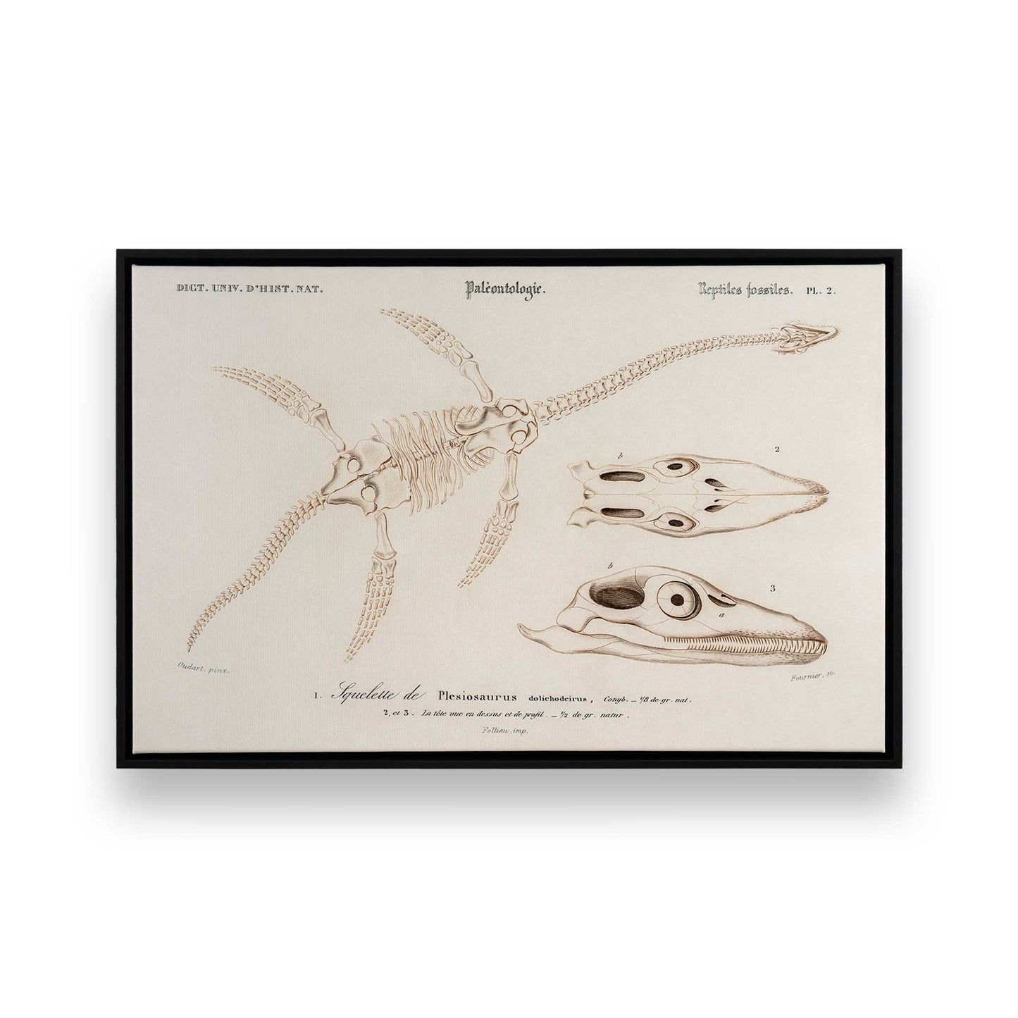 [Color:Satin Black], Picture of art in a Satin Black frame