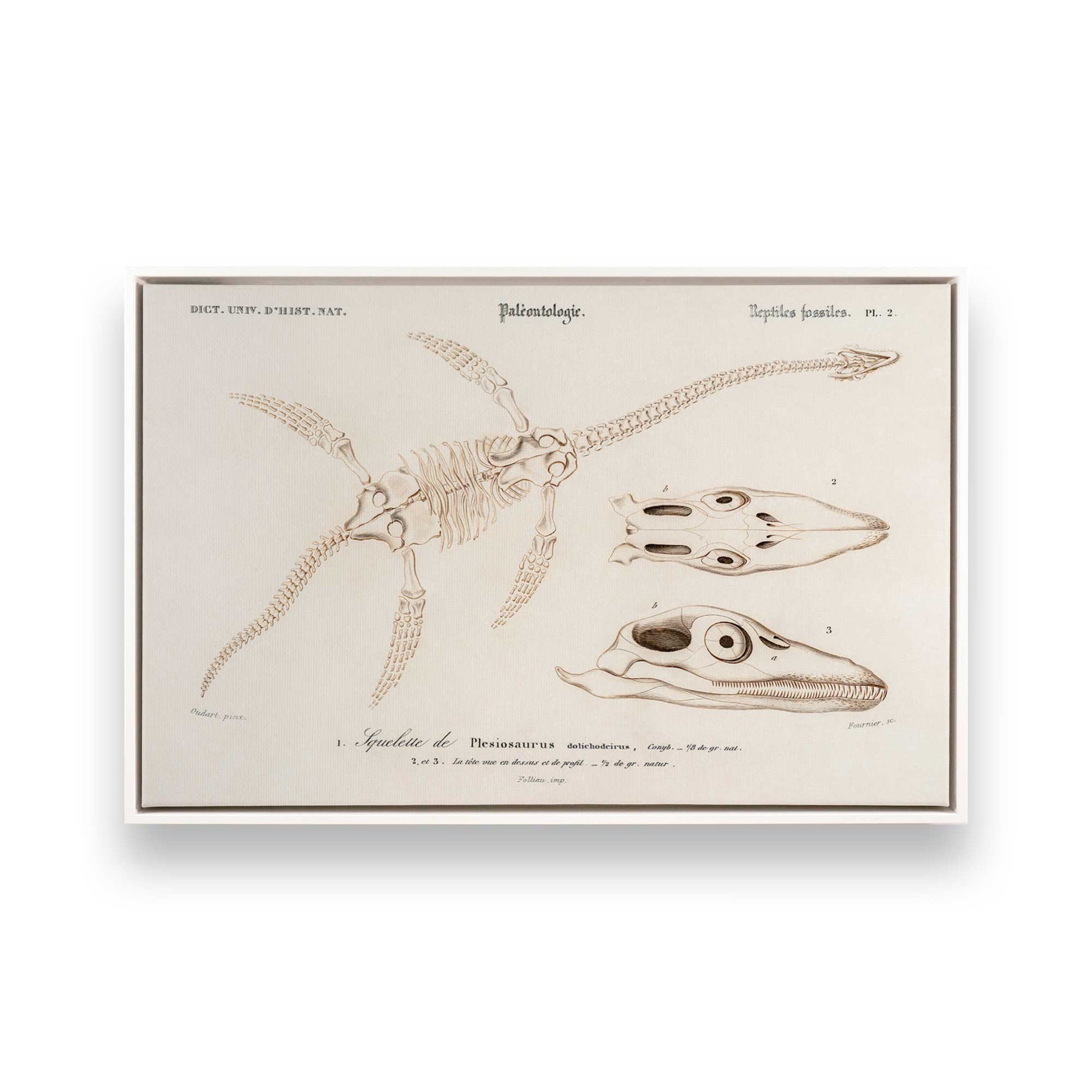 [Color:Opaque White], Picture of art in a White frame