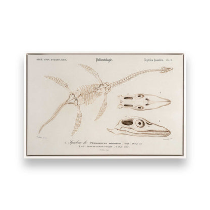 [Color:Opaque White], Picture of art in a White frame