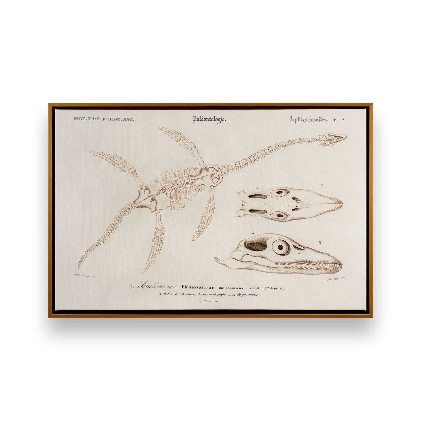 [Color:Polished Gold], Picture of art in a Polished Gold frame