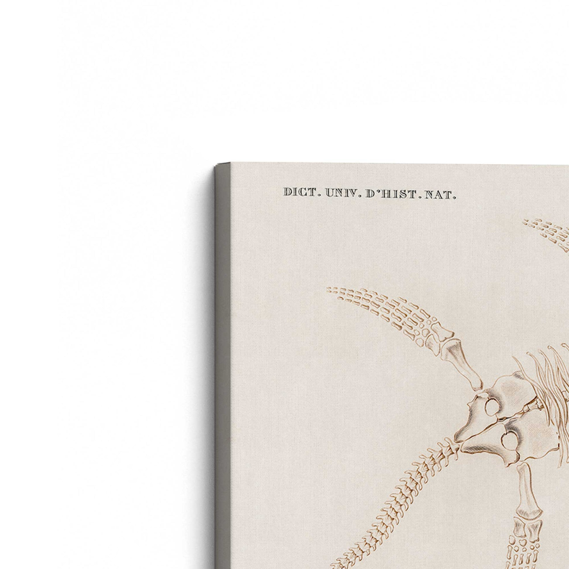 [Color:Stretched Canvas], Picture of the corner of the art