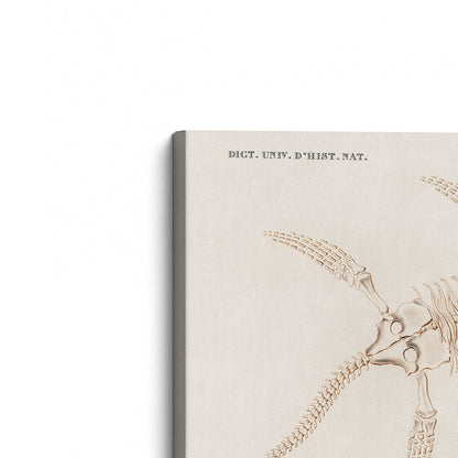 [Color:Stretched Canvas], Picture of the corner of the art