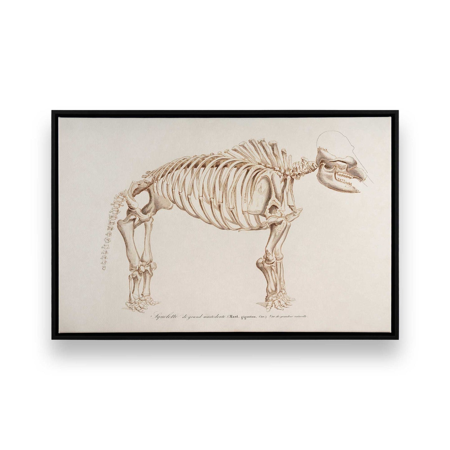 [Color:Satin Black], Picture of art in a Satin Black frame