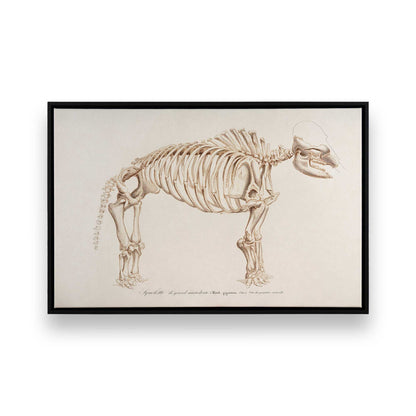 [Color:Satin Black], Picture of art in a Satin Black frame