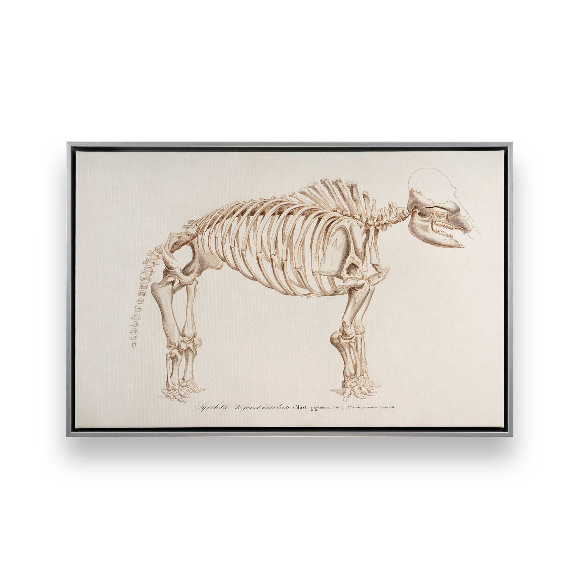 [Color:Polished Chrome], Picture of art in a Polished Chrome frame
