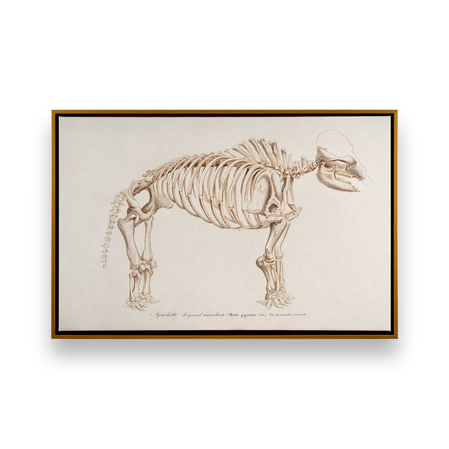 [Color:Polished Gold], Picture of art in a Polished Gold frame