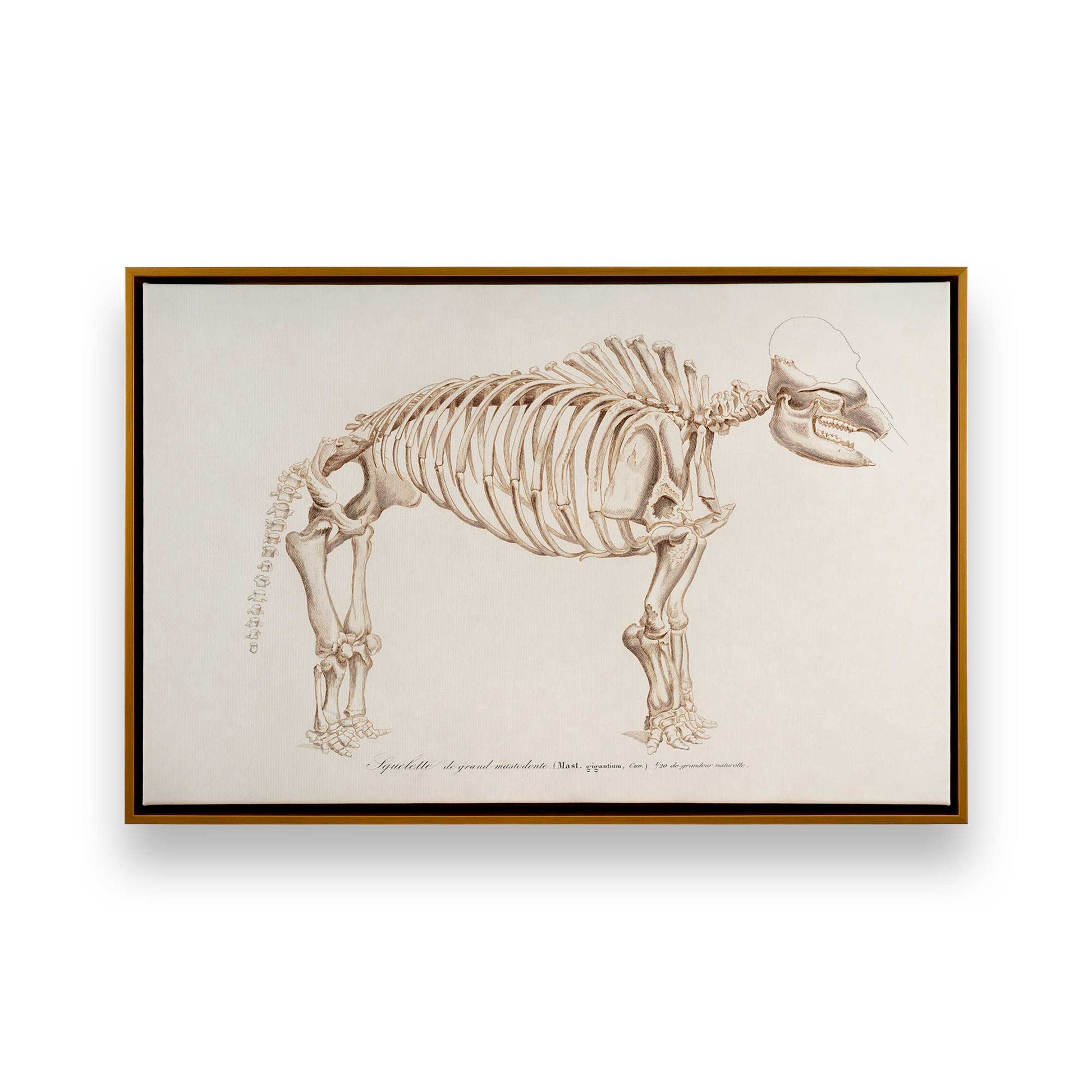 [Color:Polished Gold], Picture of art in a Polished Gold frame