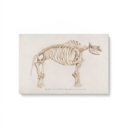 [Color:Stretched Canvas], Picture of art
