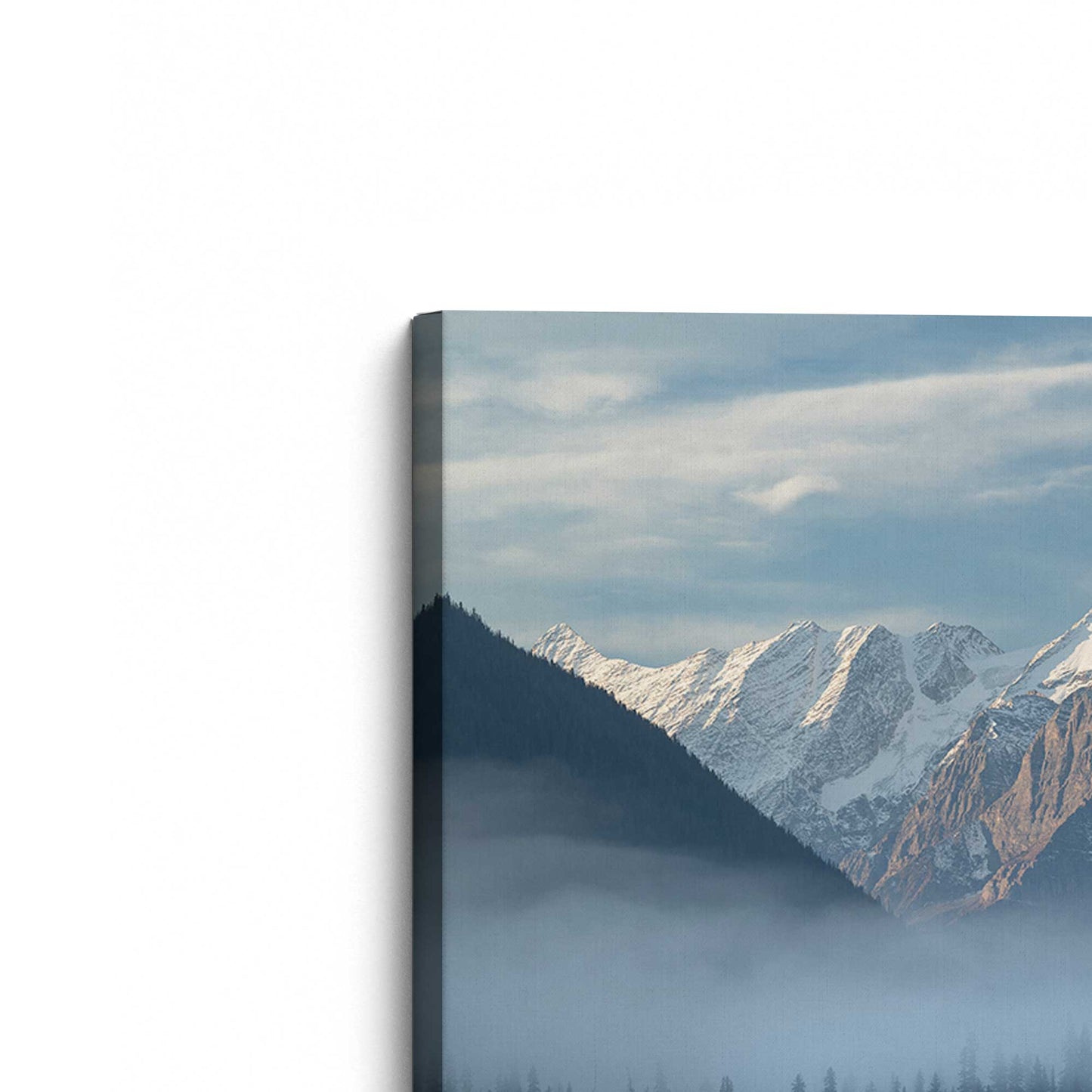 [Color:Stretched Canvas], Picture of the corner of the art