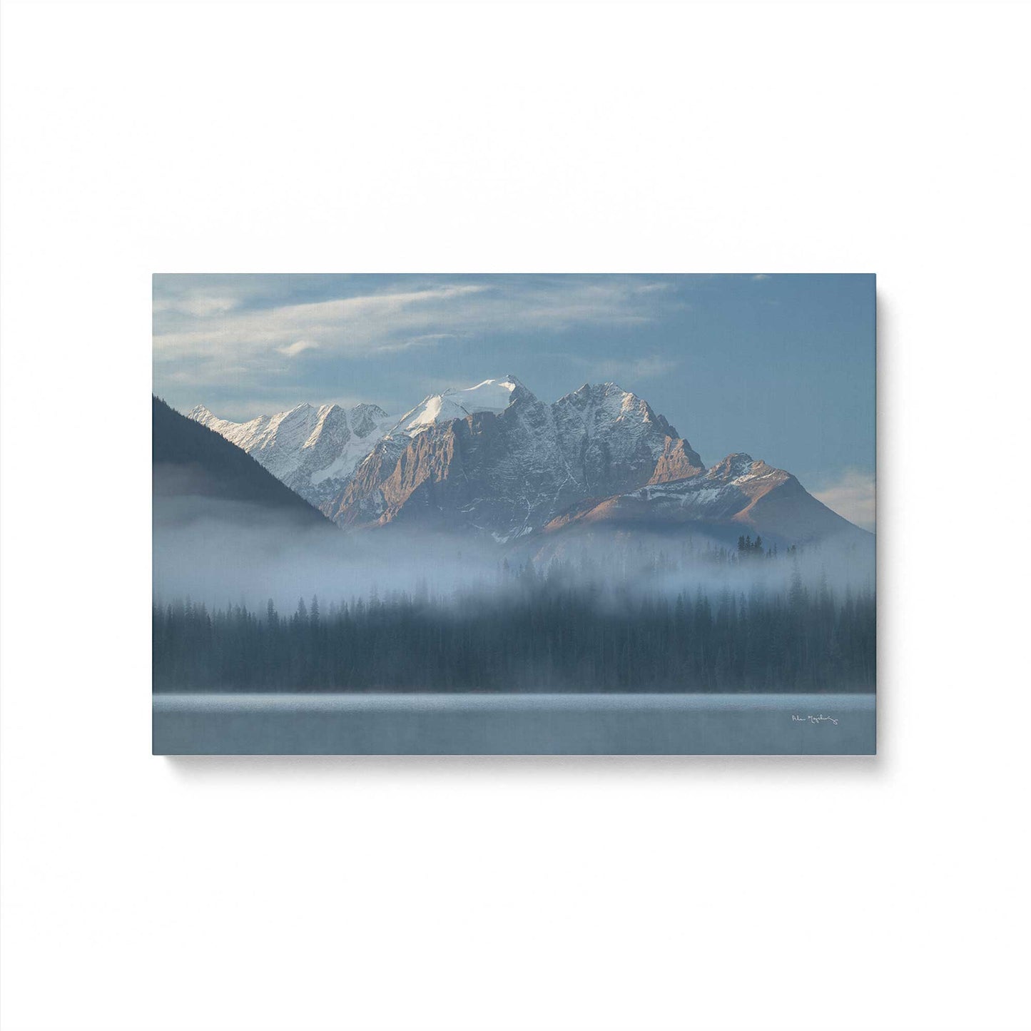 [Color:Stretched Canvas], Picture of art
