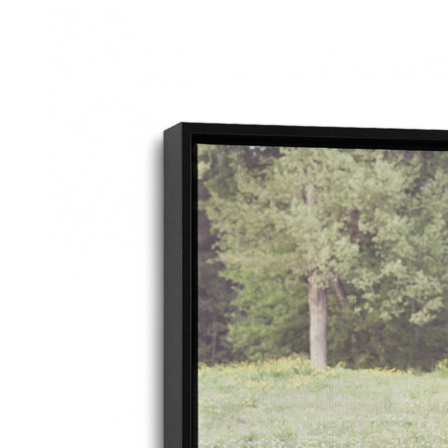 [Color:Satin Black], Picture of art in a Satin Black frame at an angle