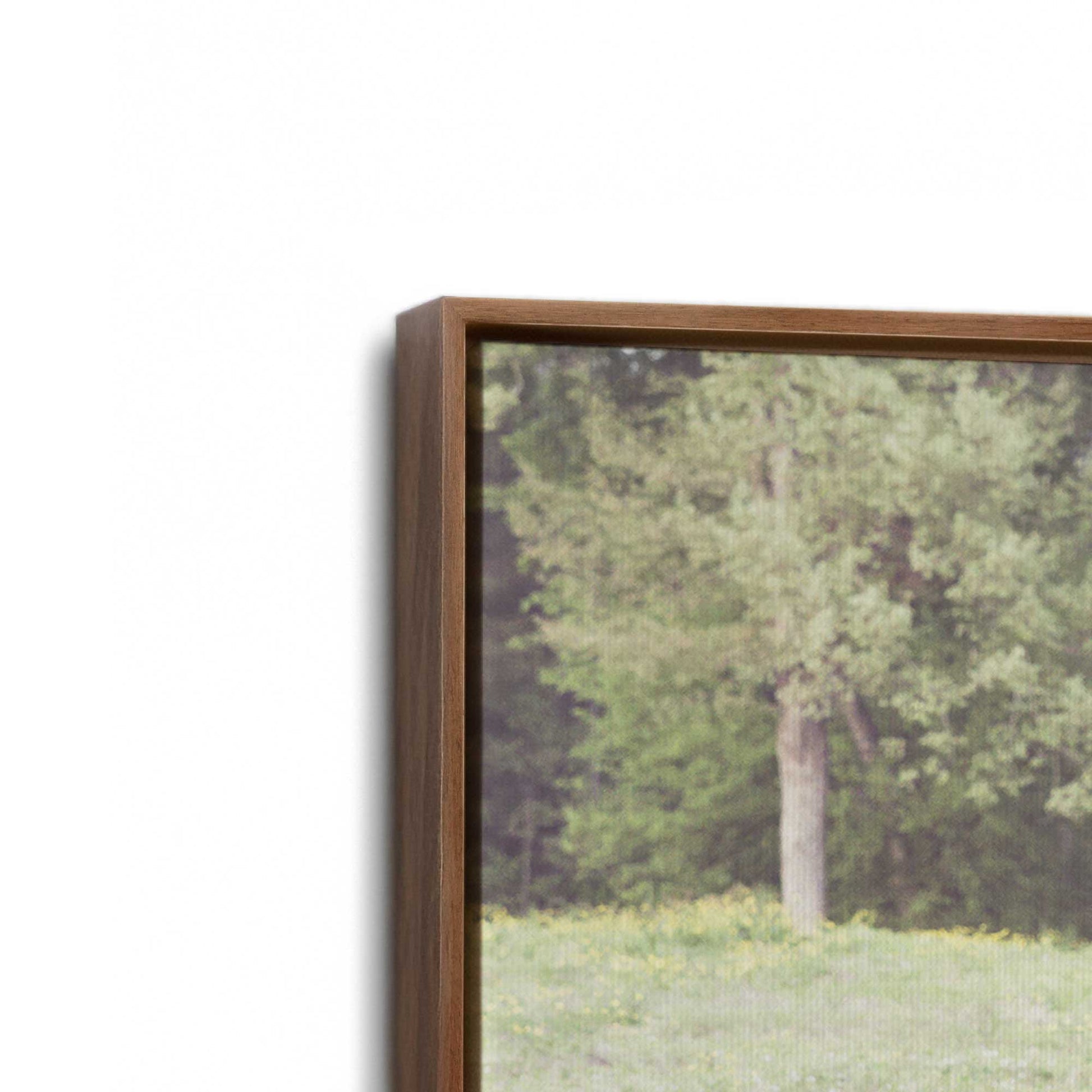 [Color:Walnut], Picture of art in a Walnut frame at an angle