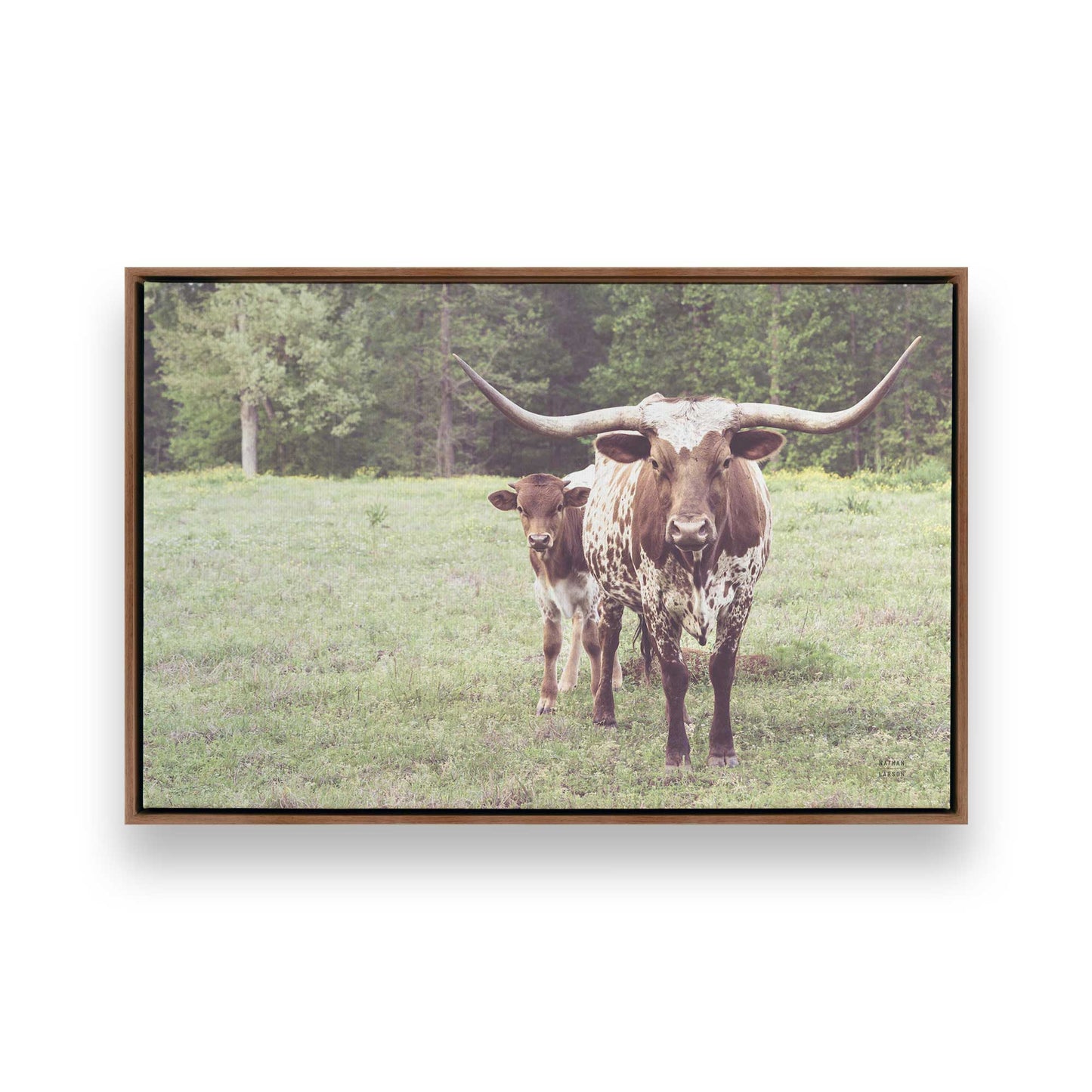 [Color:Walnut], Picture of art in a Walnut frame