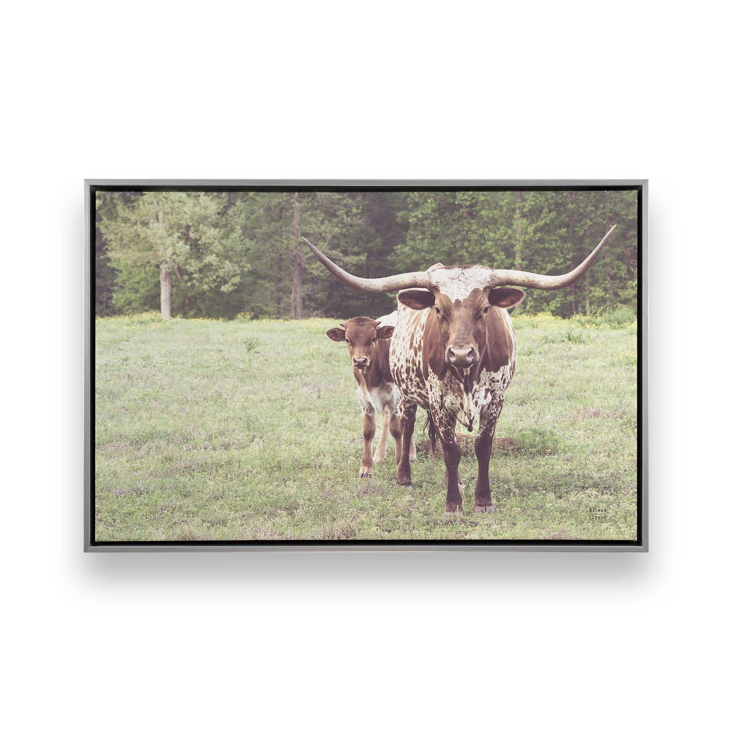 [Color:Polished Chrome], Picture of art in a Polished Chrome frame