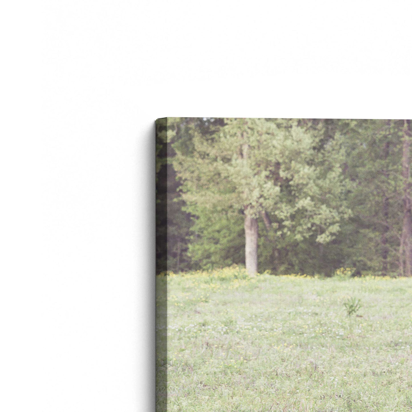 [Color:Stretched Canvas], Picture of the corner of the art
