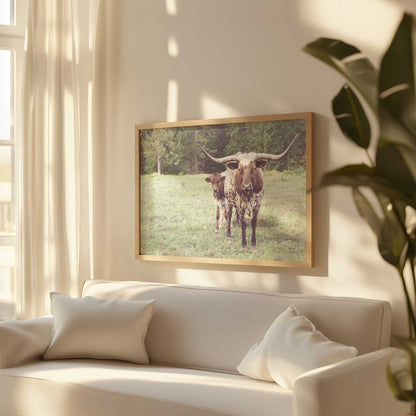 [LIFESTYLE],[SPECIAL],