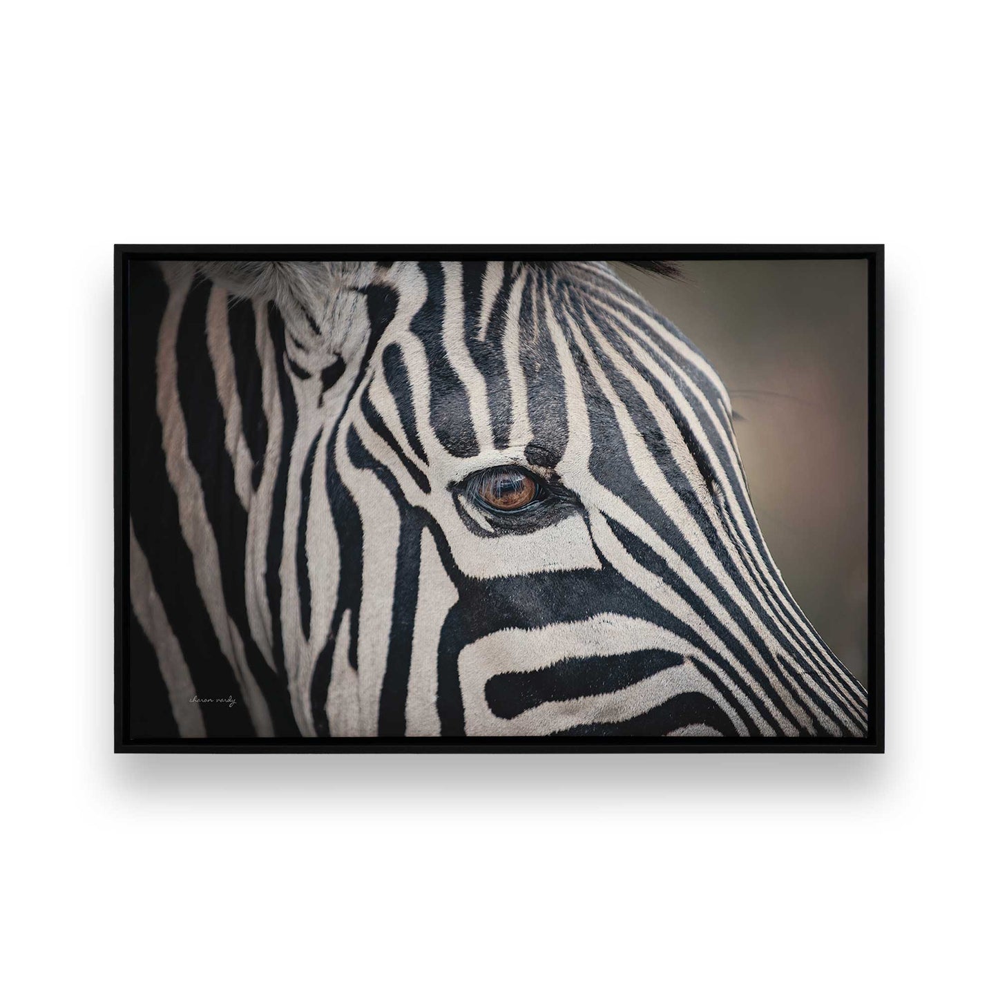 [Color:Satin Black], Picture of art in a Satin Black frame