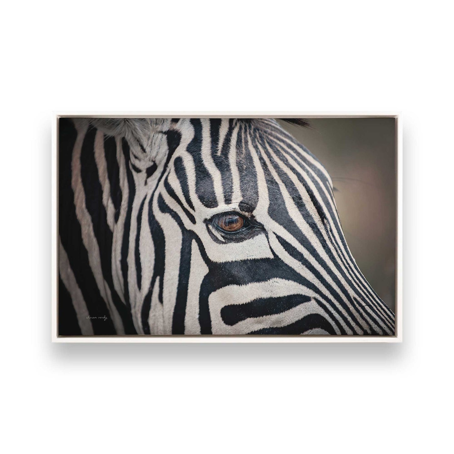 [Color:Opaque White], Picture of art in a White frame