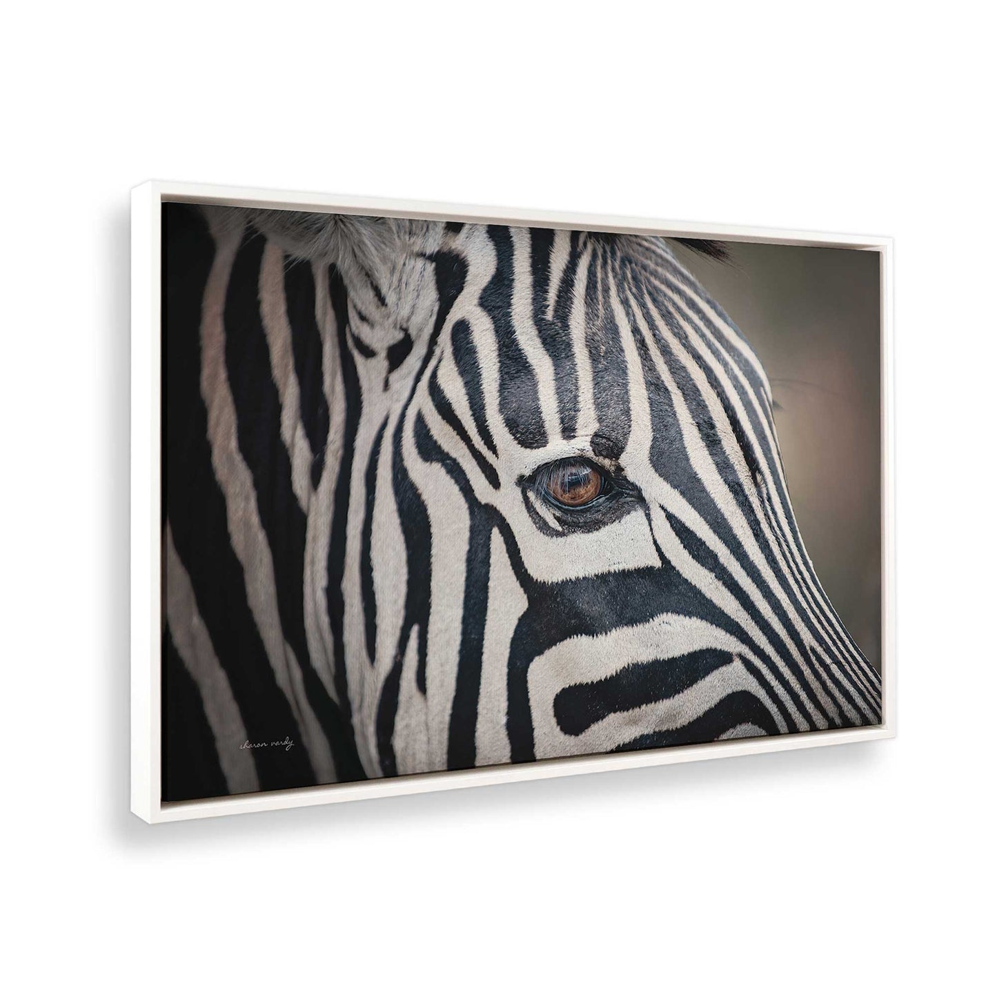 [Color:Opaque White], Picture of the corner of the art