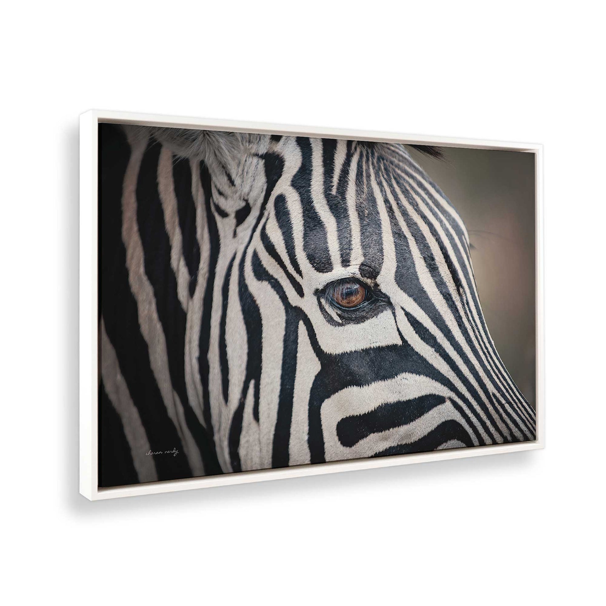 [Color:Opaque White], Picture of the corner of the art
