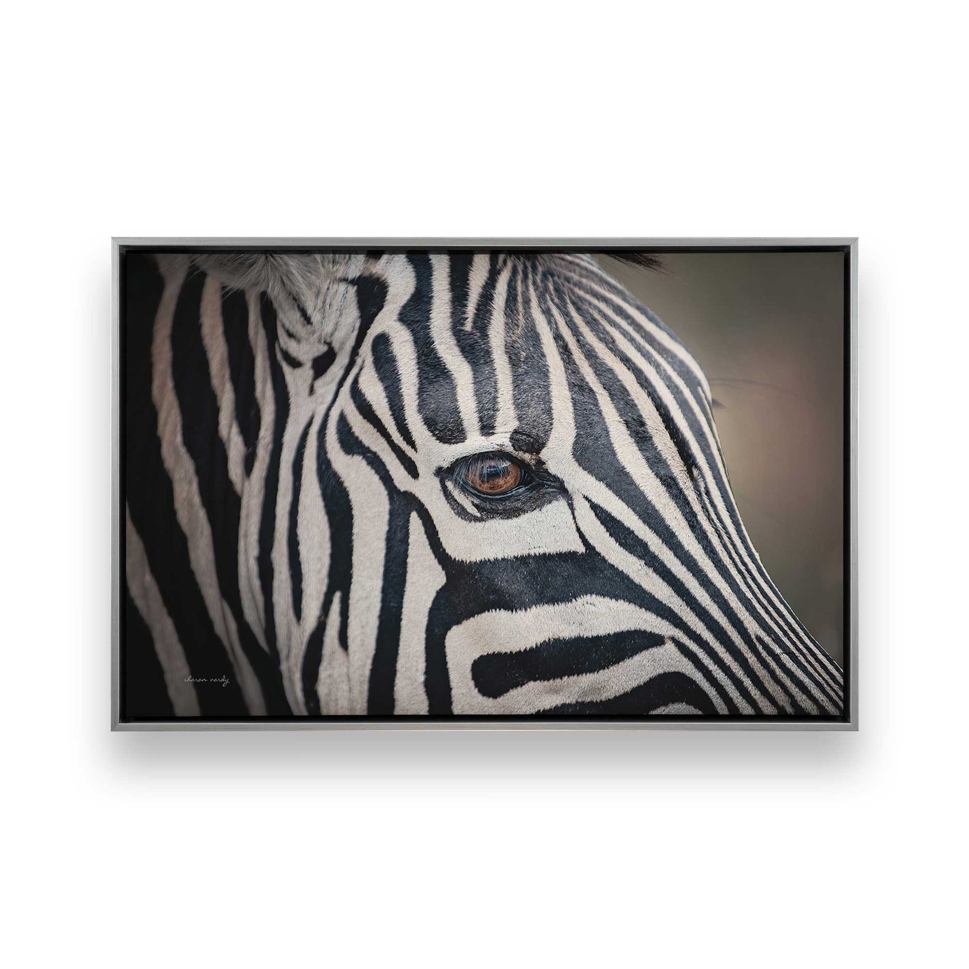 [Color:Polished Chrome], Picture of art in a Polished Chrome frame