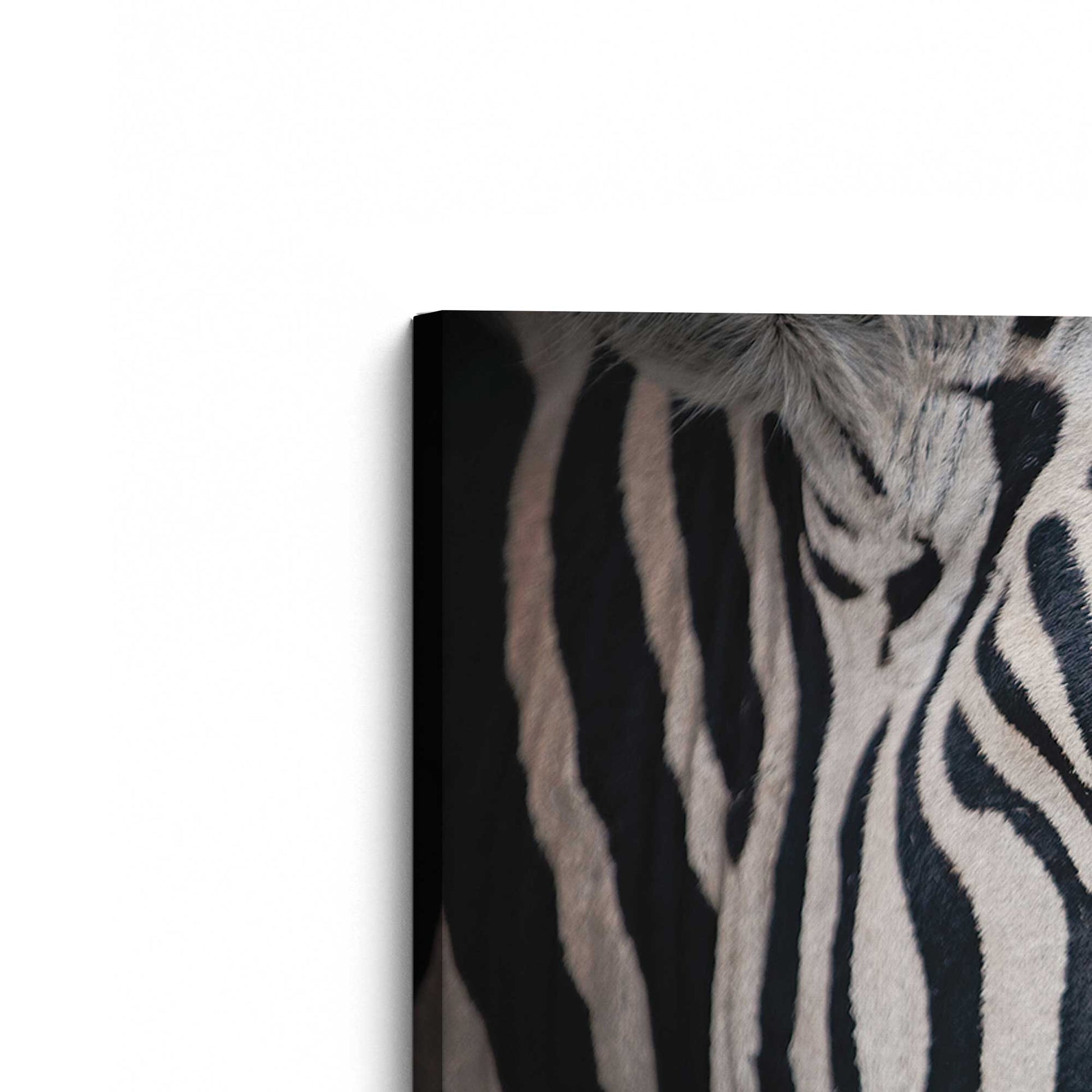 [Color:Stretched Canvas], Picture of the corner of the art