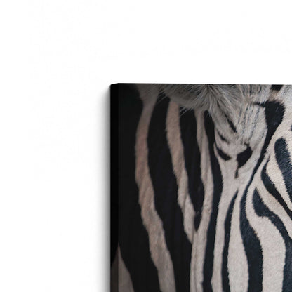 [Color:Stretched Canvas], Picture of the corner of the art
