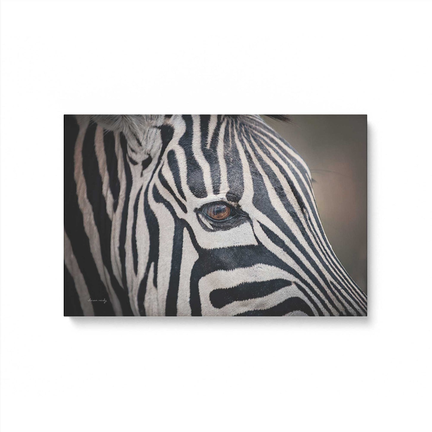 [Color:Stretched Canvas], Picture of art