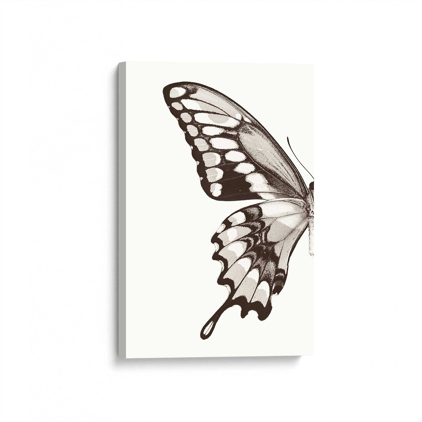 [Color:Stretched Canvas], Picture of art at an angle