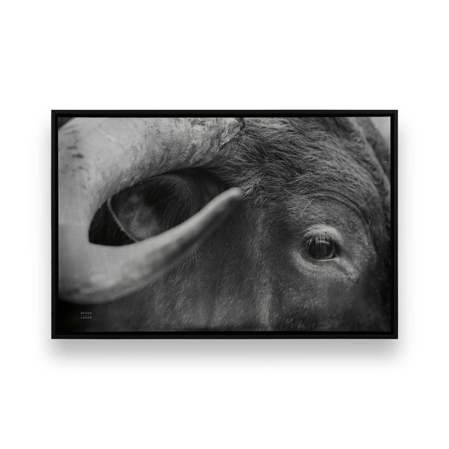 [Color:Satin Black], Picture of art in a Satin Black frame