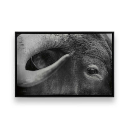 [Color:Satin Black], Picture of art in a Satin Black frame