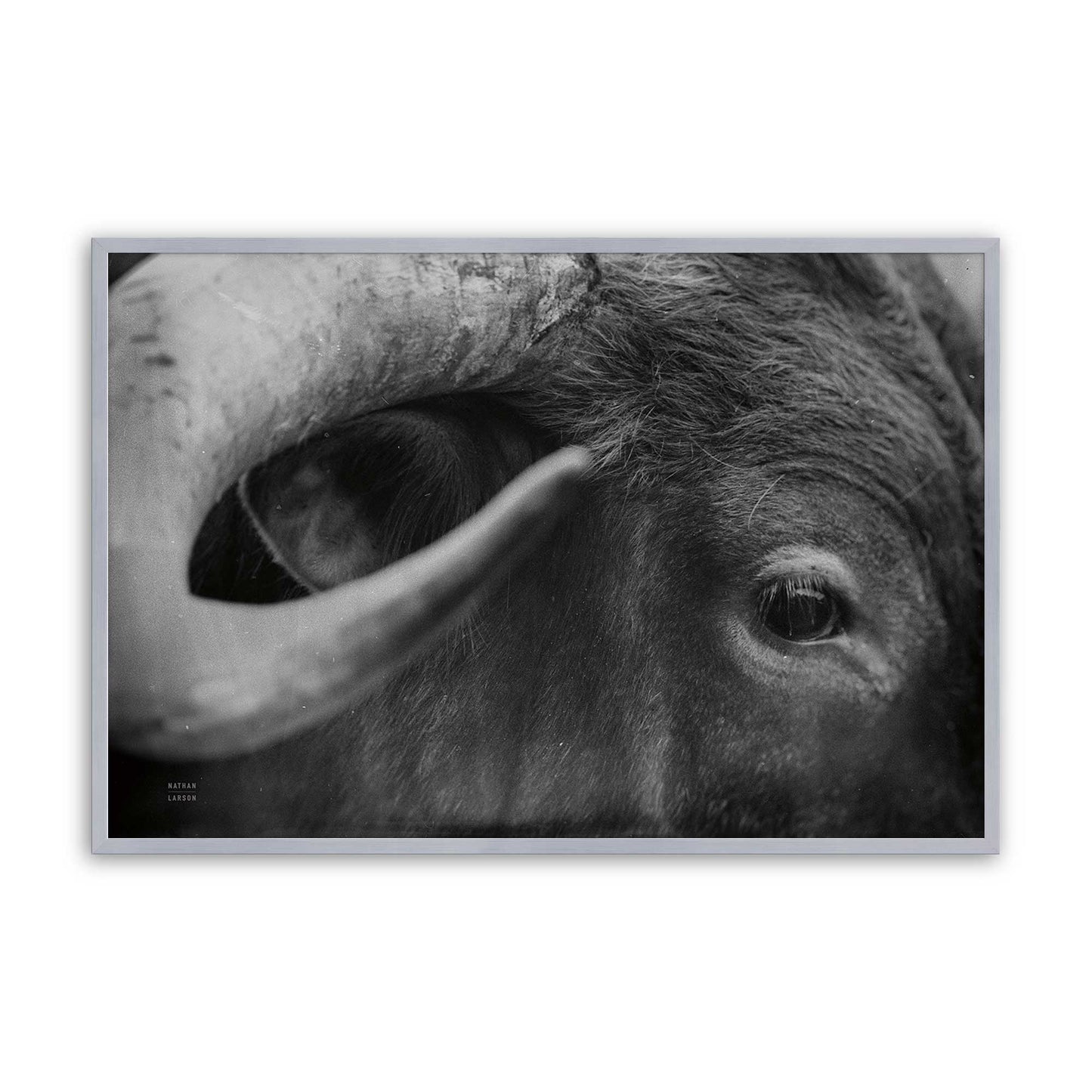 [Color:Polished Chrome], Picture of art in a Polished Chrome frame