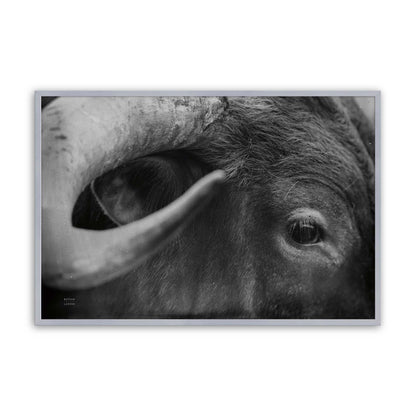 [Color:Polished Chrome], Picture of art in a Polished Chrome frame