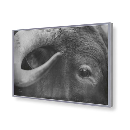 [Color:Polished Chrome], Picture of art in a Polished Chrome frame of the corner
