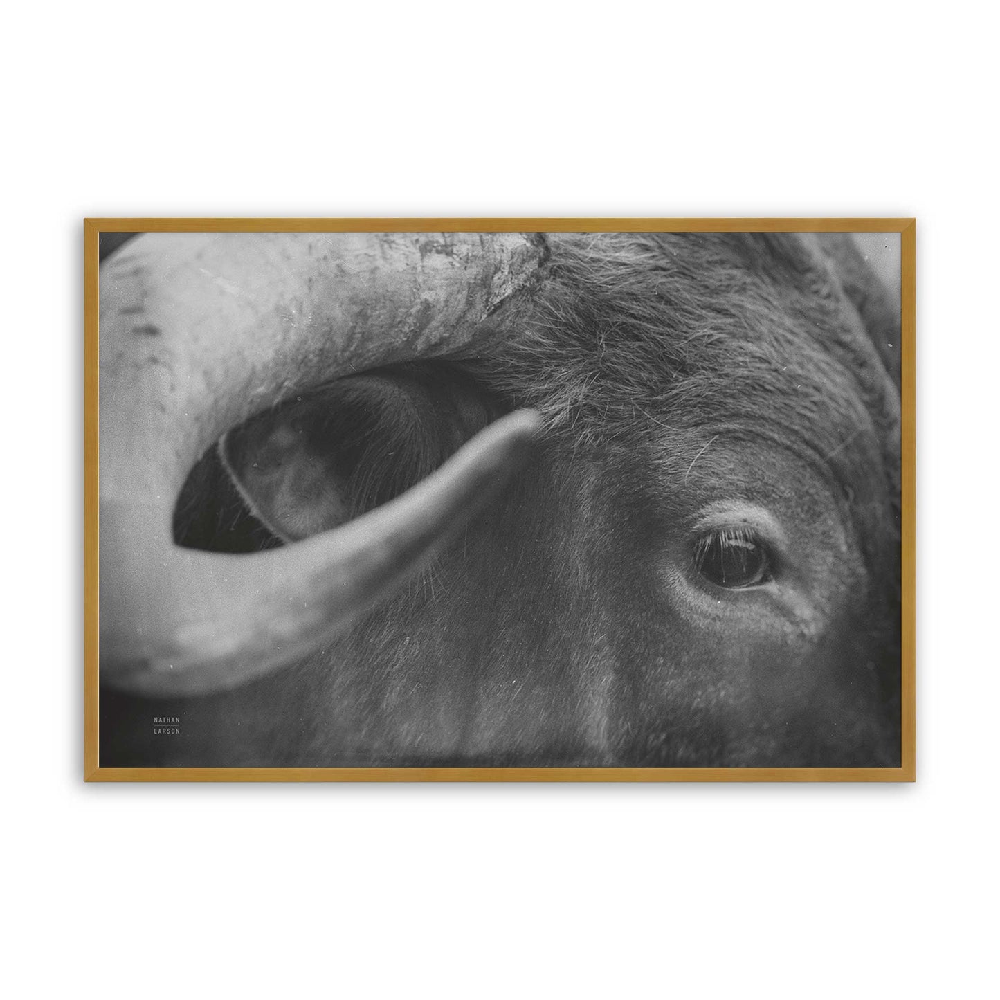 [Color:Polished Gold], Picture of art in a Polished Gold frame