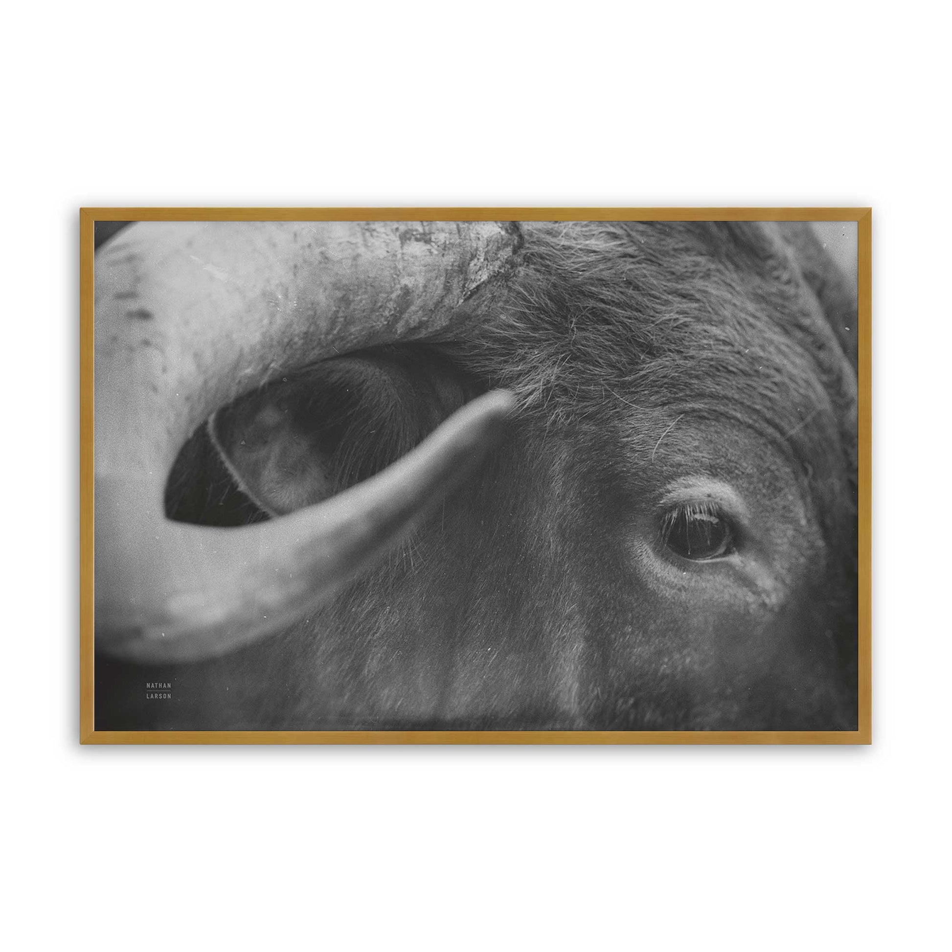 [Color:Polished Gold], Picture of art in a Polished Gold frame