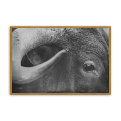 [Color:Polished Gold], Picture of art in a Polished Gold frame