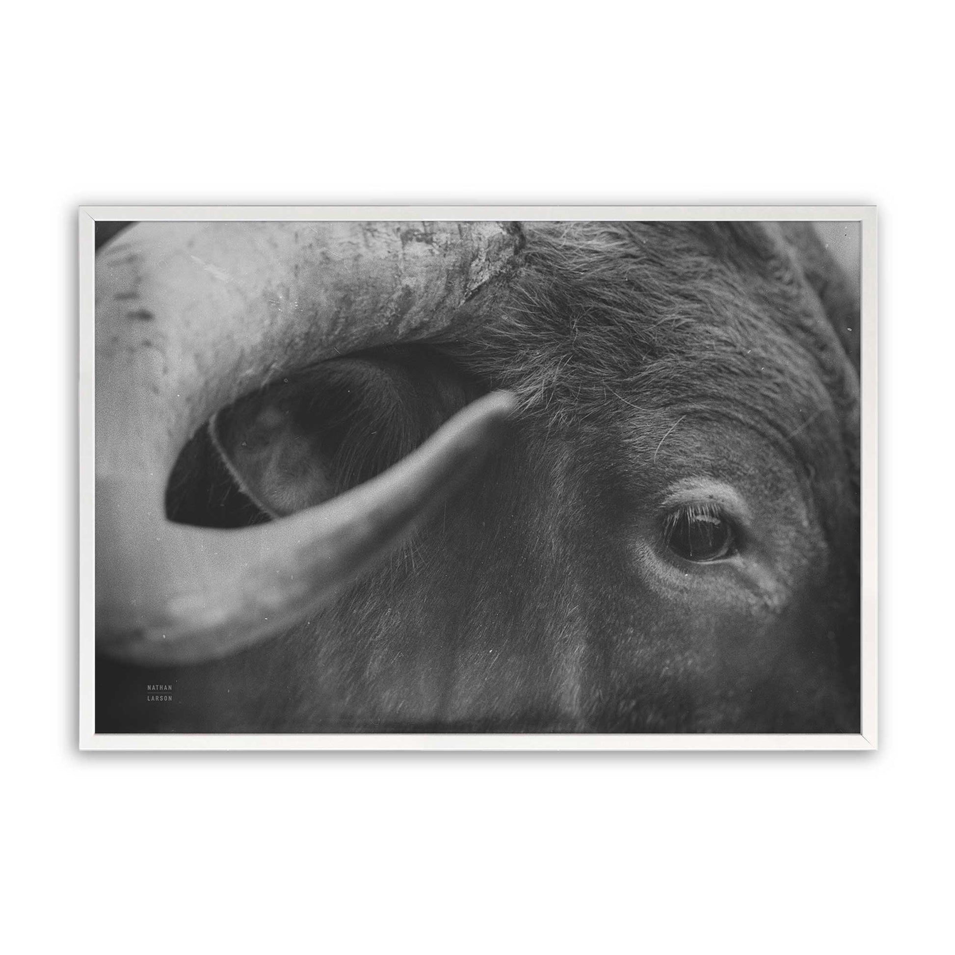 [Color:Opaque White], Picture of art in a Opaque White frame