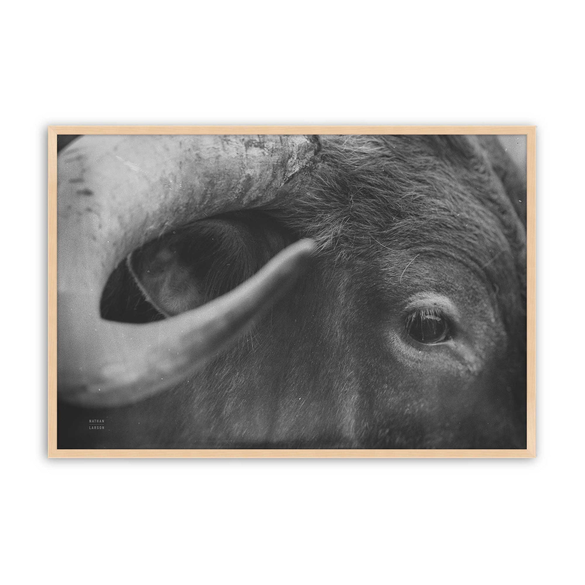 [Color:Raw Maple], Picture of art in a Raw Maple frame