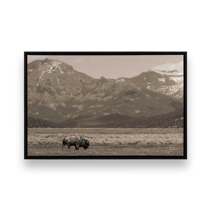 [Color:Satin Black], Picture of art in a Satin Black frame