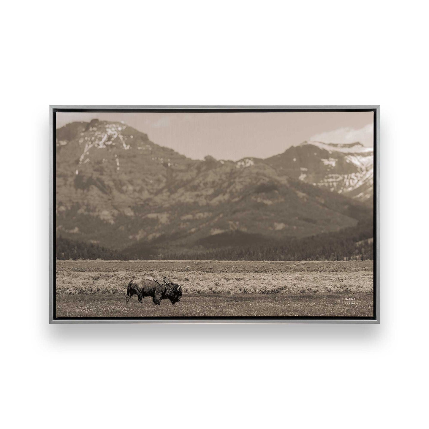 [Color:Polished Chrome], Picture of art in a Polished Chrome frame
