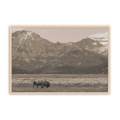 [Color:Raw Maple], Picture of art in a Raw Maple frame