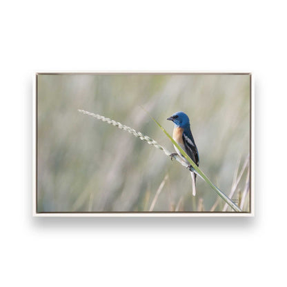 [Color:Opaque White], Picture of art in a White frame
