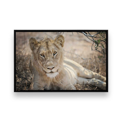 [Color:Satin Black], Picture of art in a Satin Black frame